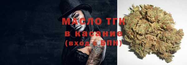 гашик Сясьстрой