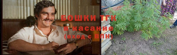 прущие крисы Тавда