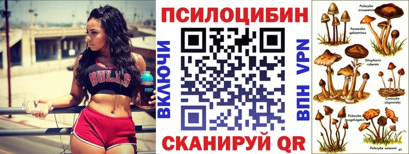 Псилоцибиновые грибы GOLDEN TEACHER  Енисейск 